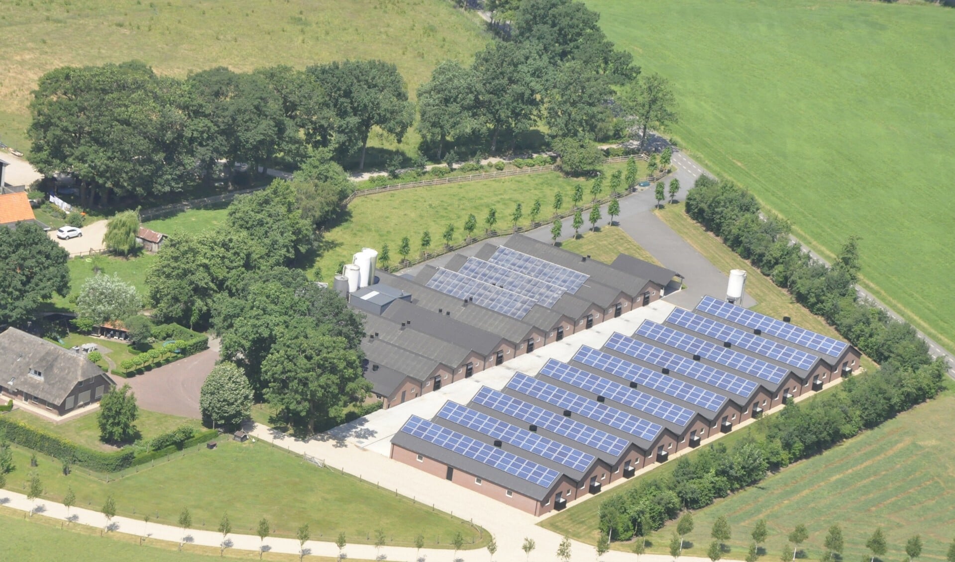 Zonnepanelen op daken van stallen in het buitengebied van Kootwijkerbroek.