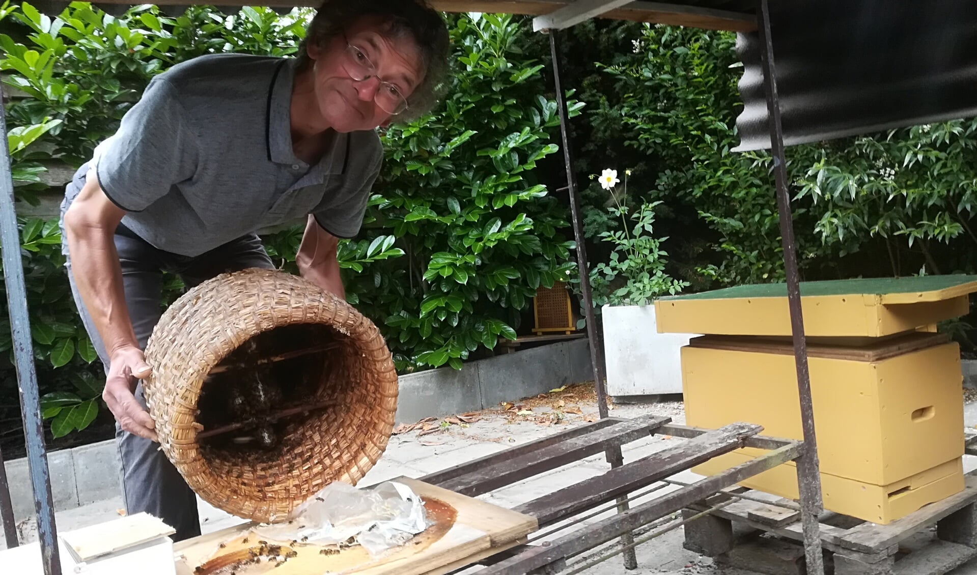 Wim van den Hoek laat het volk in de bijenkorf zien