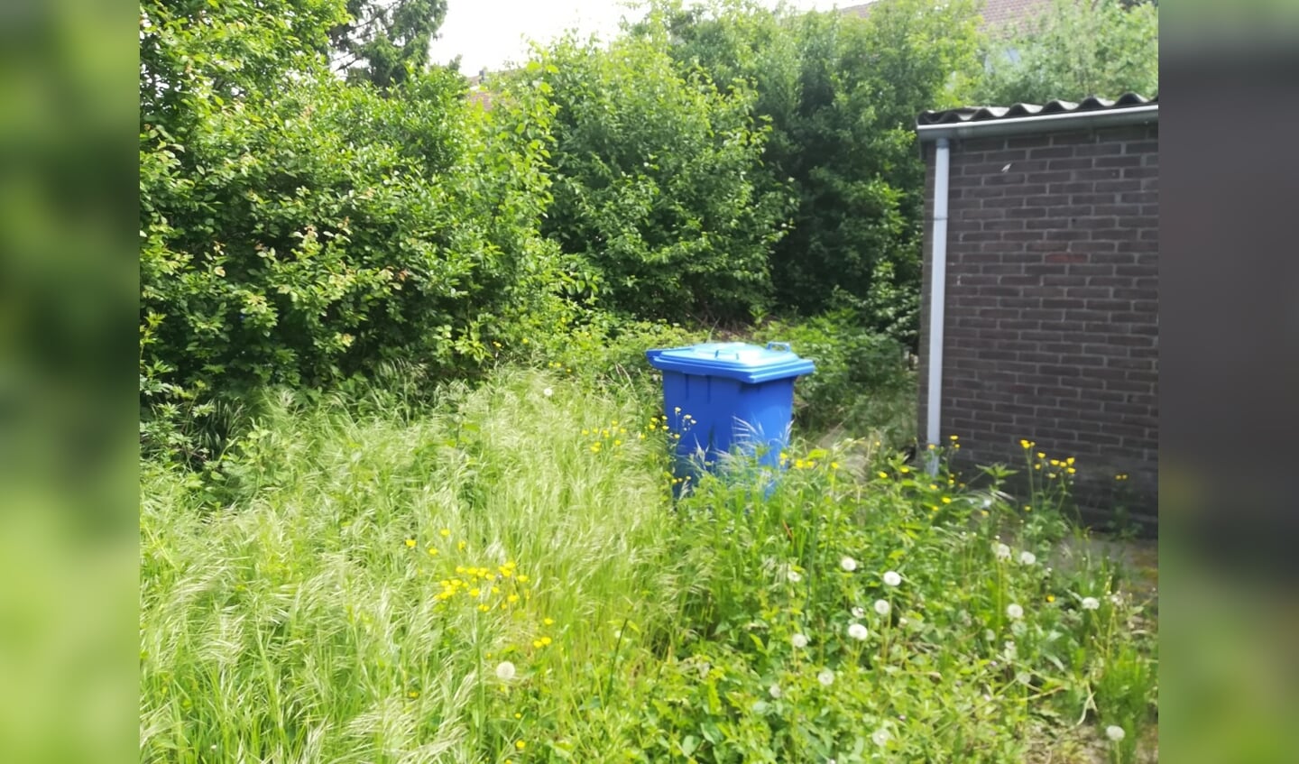 De oude situatie in de Staatsliedenbuurt