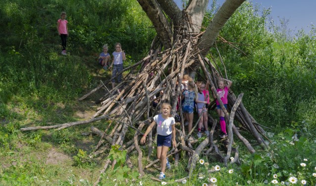 Kinderen druk in de weer met het bouwen van een boomhut