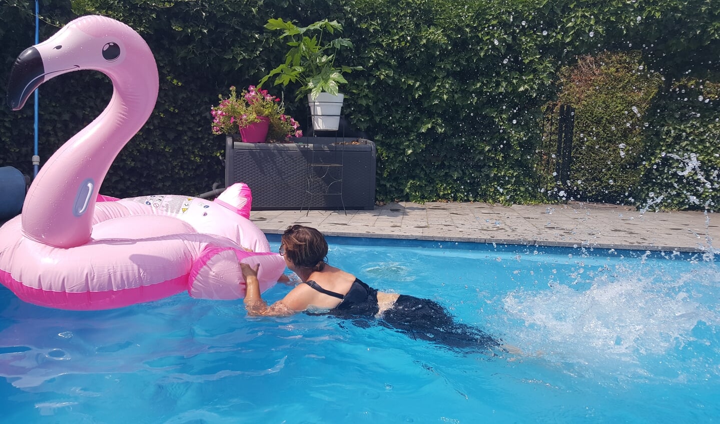 Geluksmoment, een blauw zwembad en een roze flamingo.
