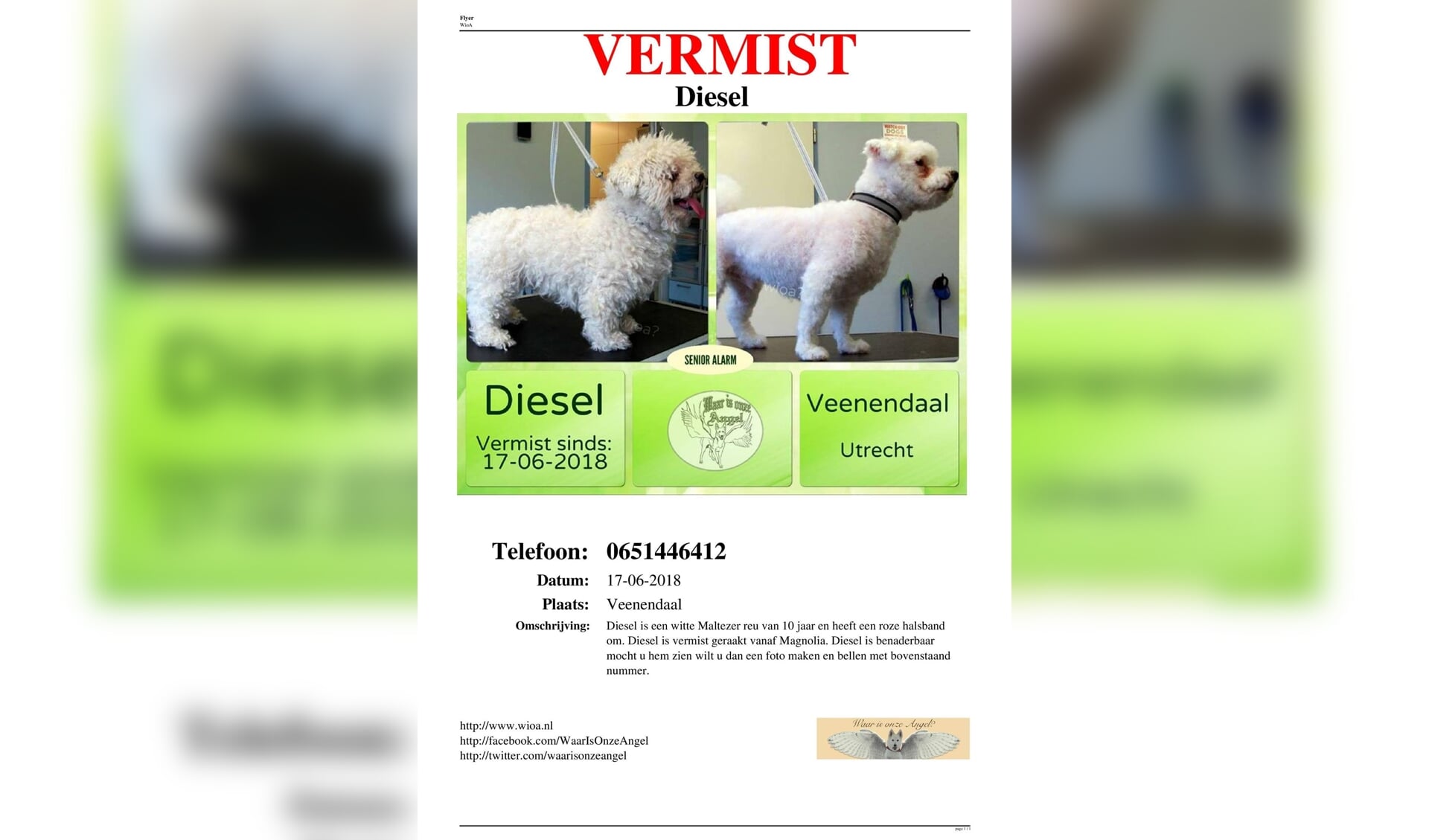 Flyer van Diesel, met contactgegevens eigenaar