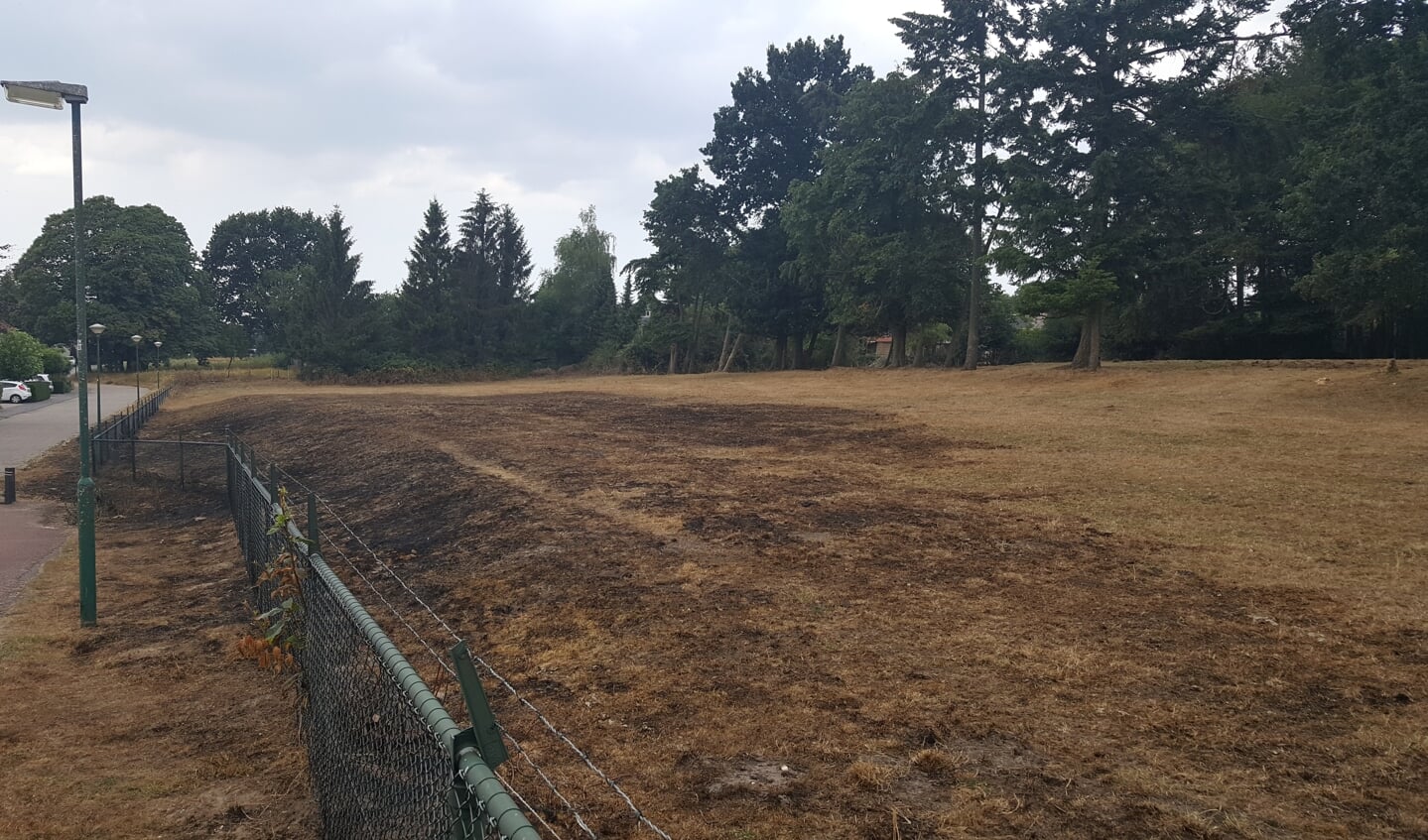 Het deels verbrande grasveld op de Chalonhof.