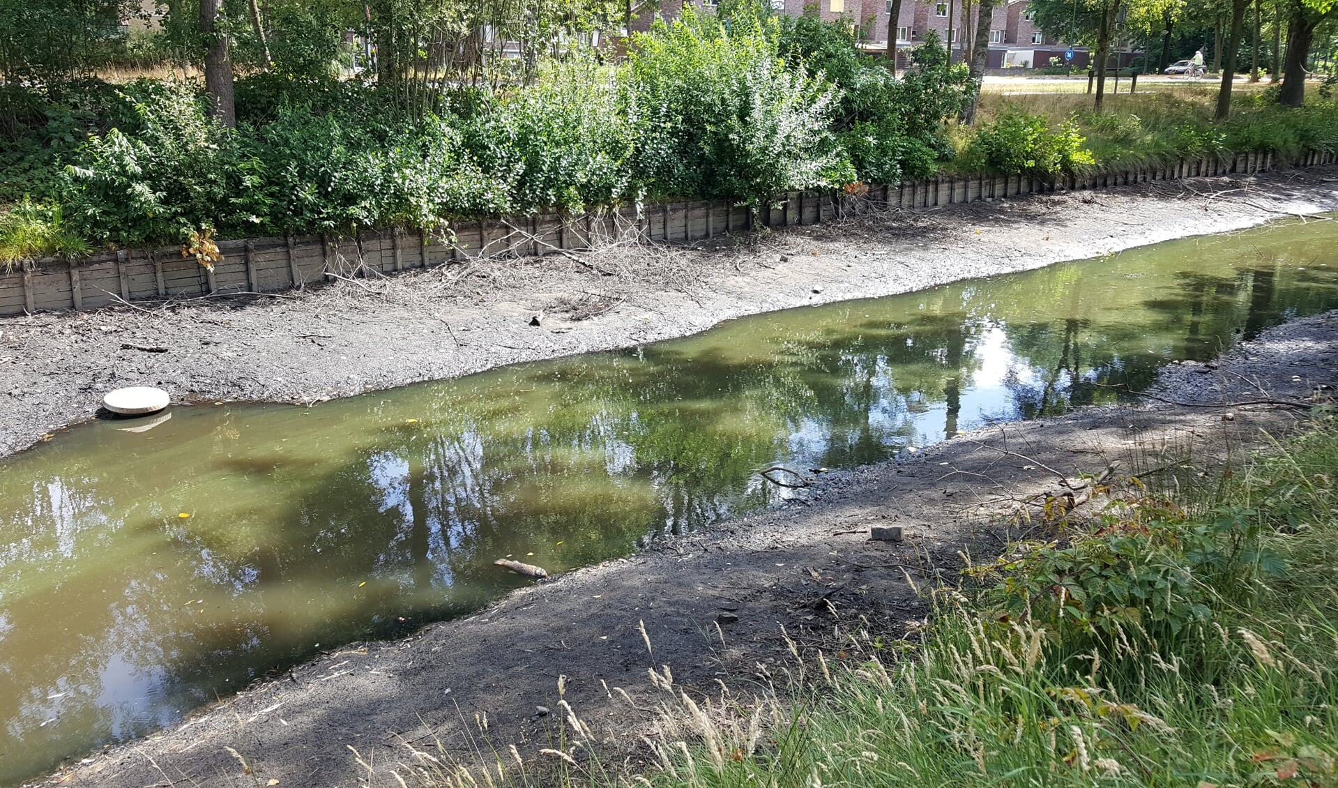 Een vis ligt zieltogend aan de drooggevallen vijver in Overhees