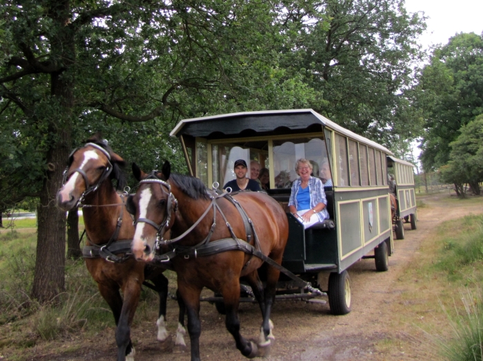 Tocht met de Paardentrams