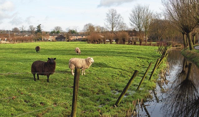 Foto ter illustratie