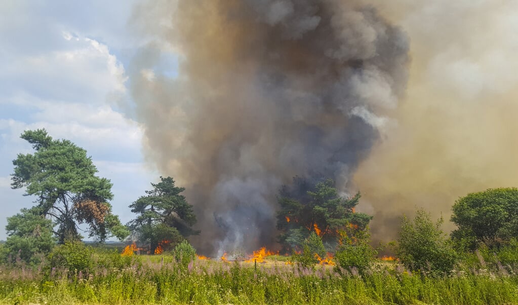 Natuurbrand in nationaal park Hoge Veluwe 