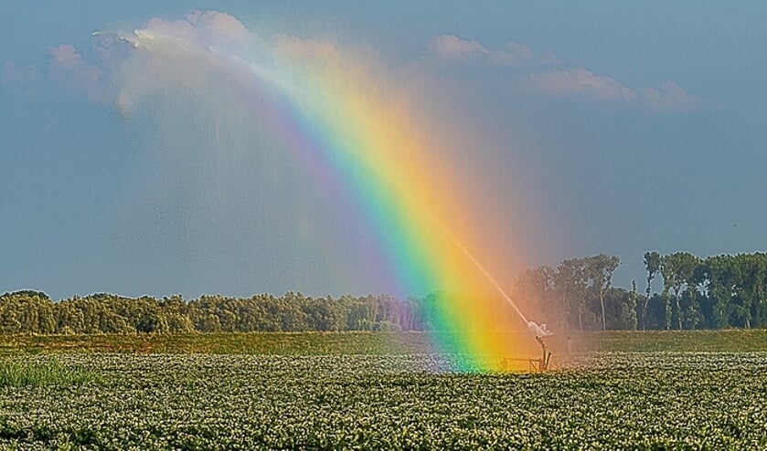 Waterkanon op een aardappelveld in de Biesbosch
