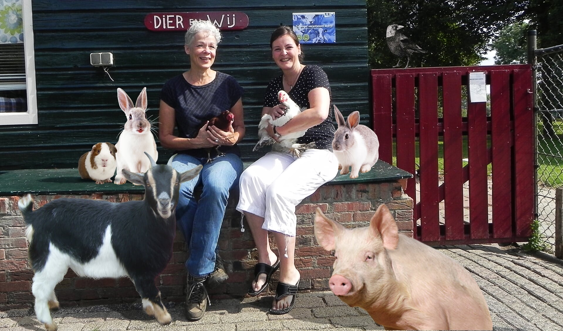 Marian en Anita zijn graag op de kinderboerderij met de bijzondere dieren.