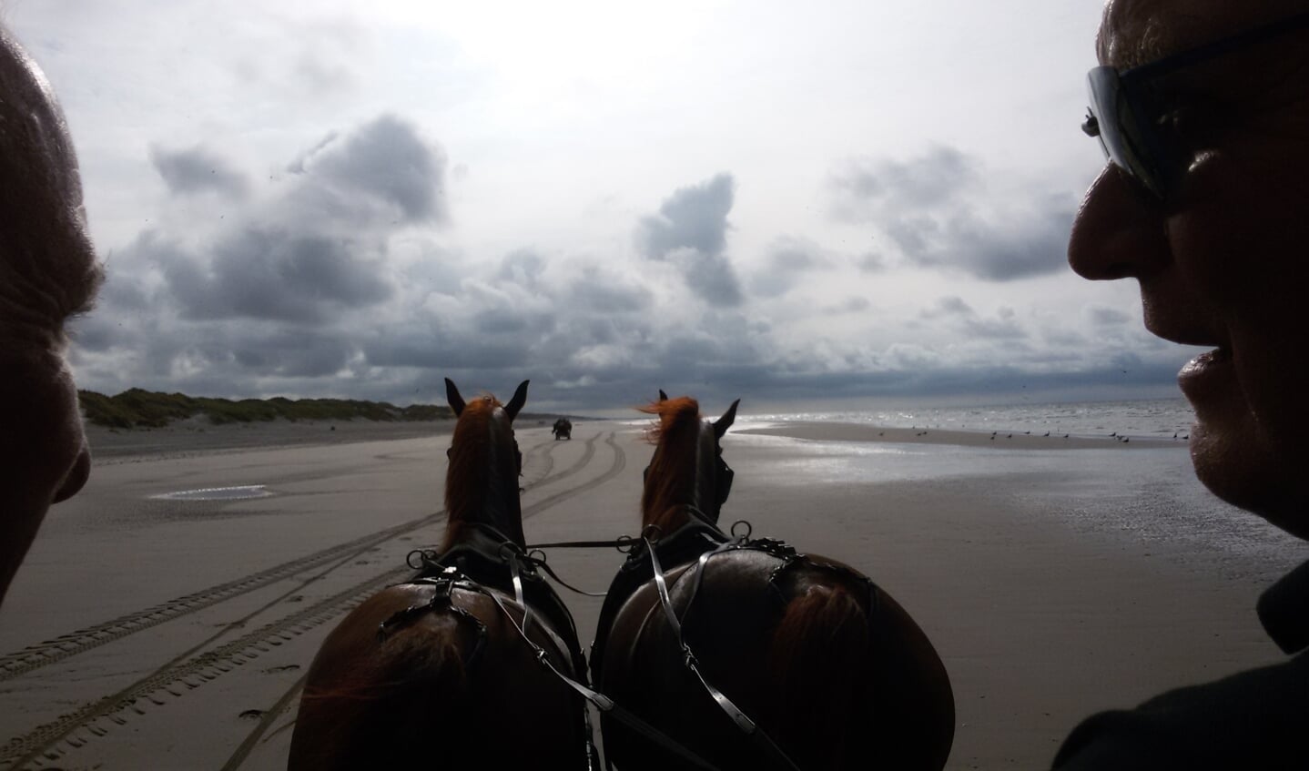 ,,Op het strand van Ameland met 2 span paard.