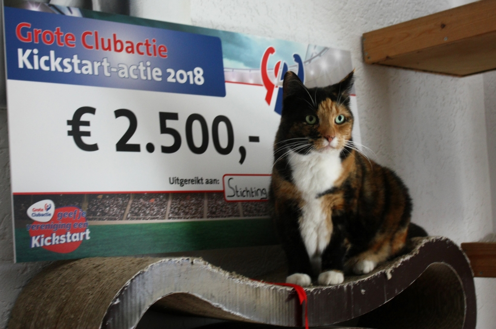 Exasielpoes Snoepie mag op de cheque passen.