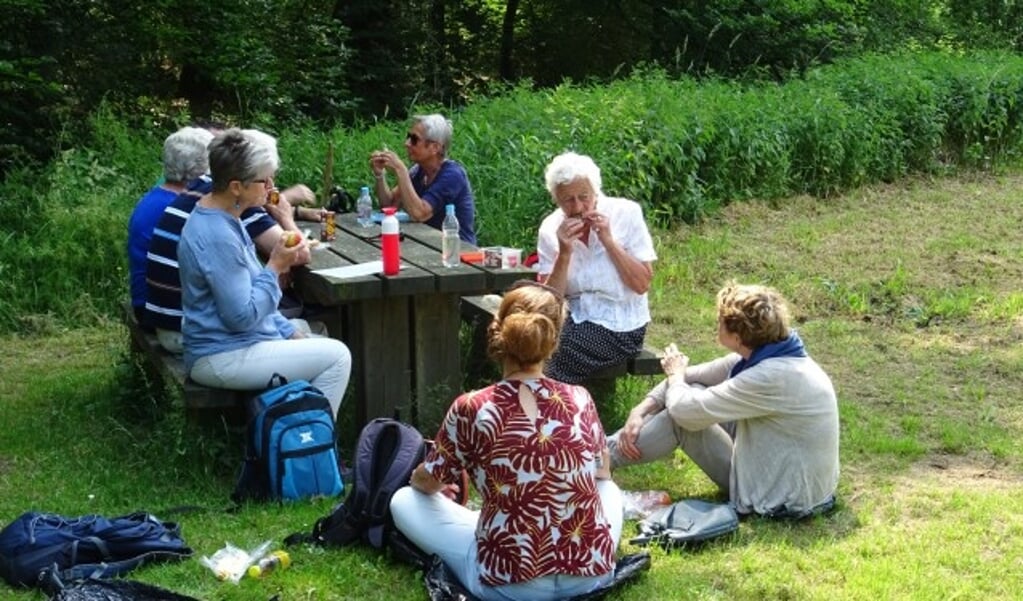 Ter gelegenheid van het lustrum wordt een picknicktafel voor in de stadsbossen van Rhenen aangeboden.