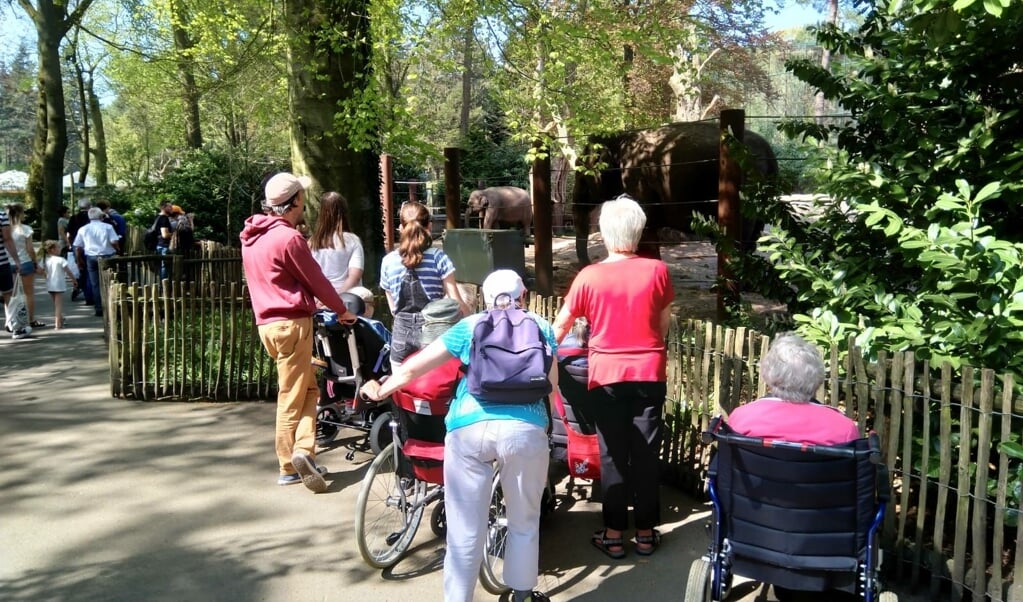 Bezoek ouderen Mariënburg aan Dierenpark Amersfoort tijdens een vorige Doe Dag