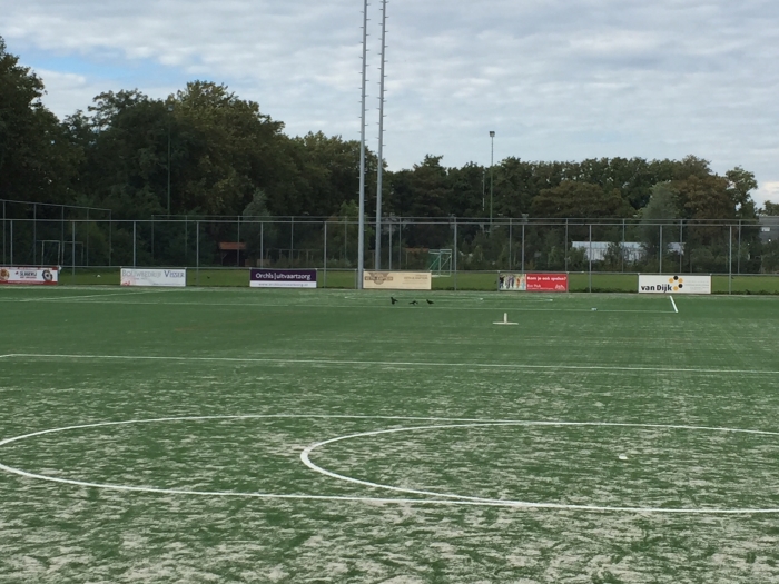 Kunstgrasveld