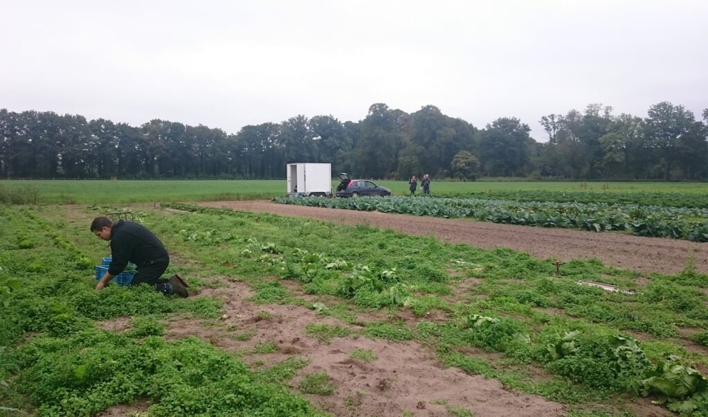 Boer voor Herenboeren