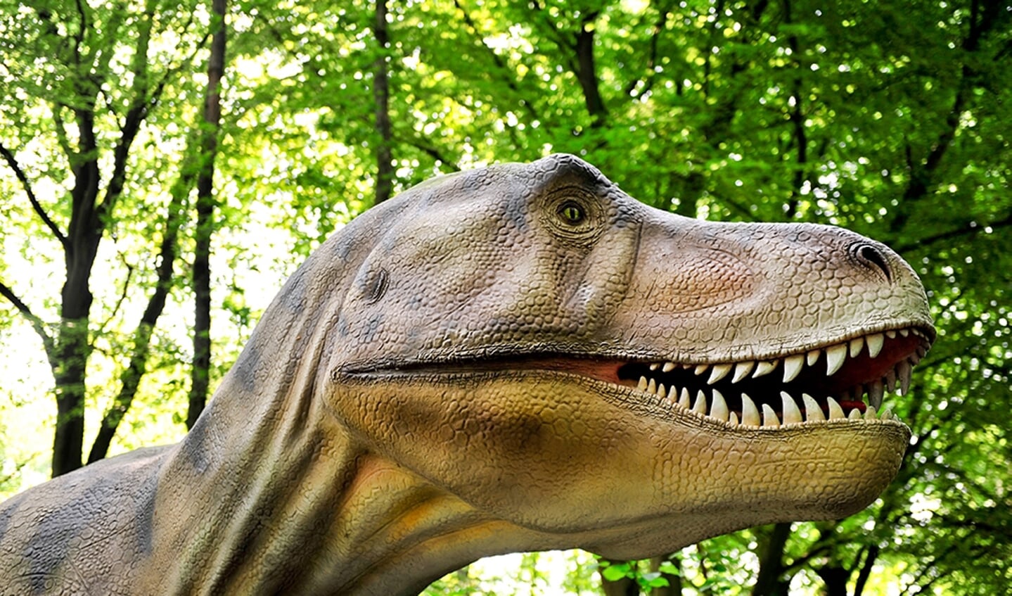 DinoAdventures T-rex
