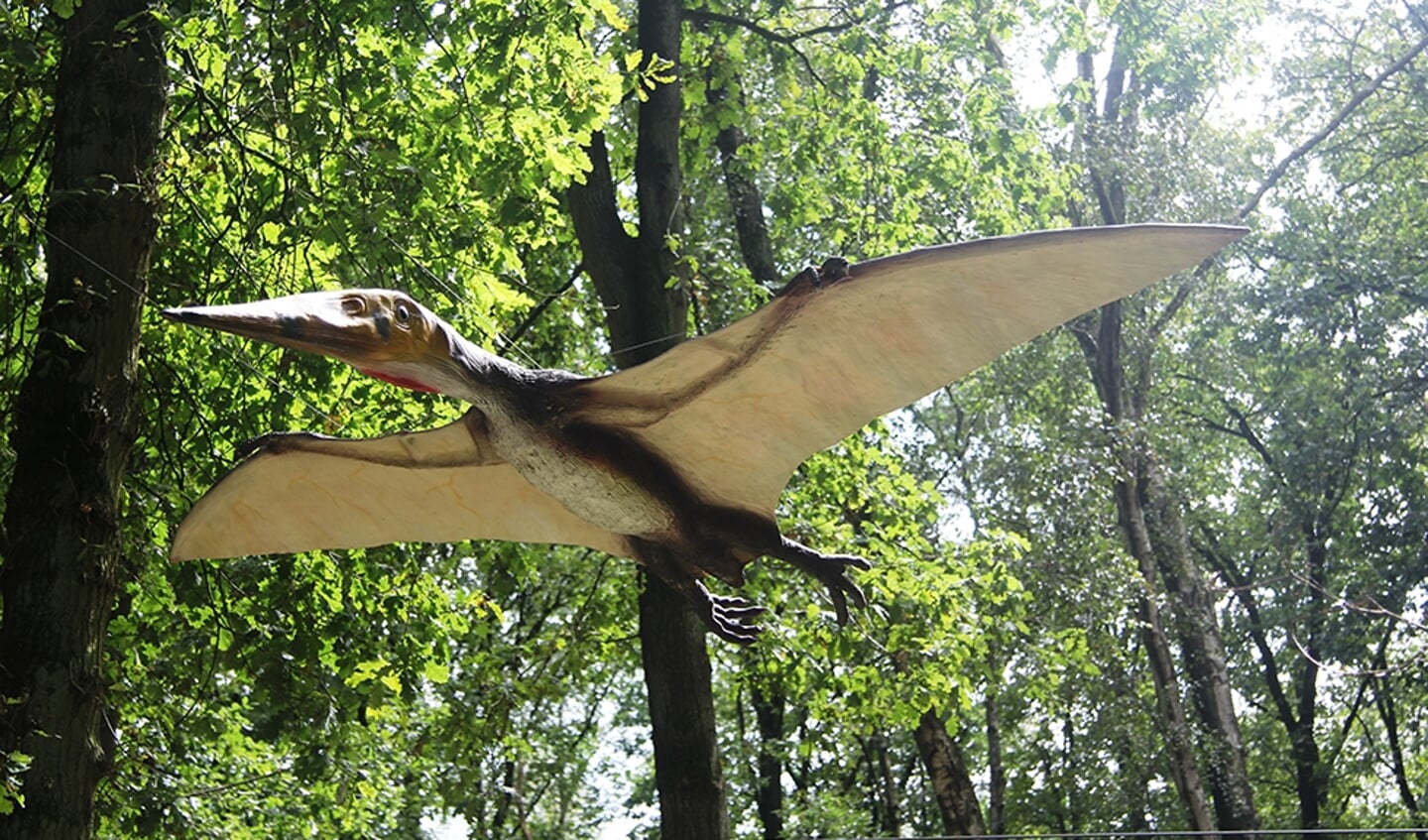 DinoAdventures Pterodactylus