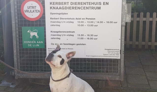 Belangstellenden zijn welkom op de open dag op 30 september van 12 tot 4.