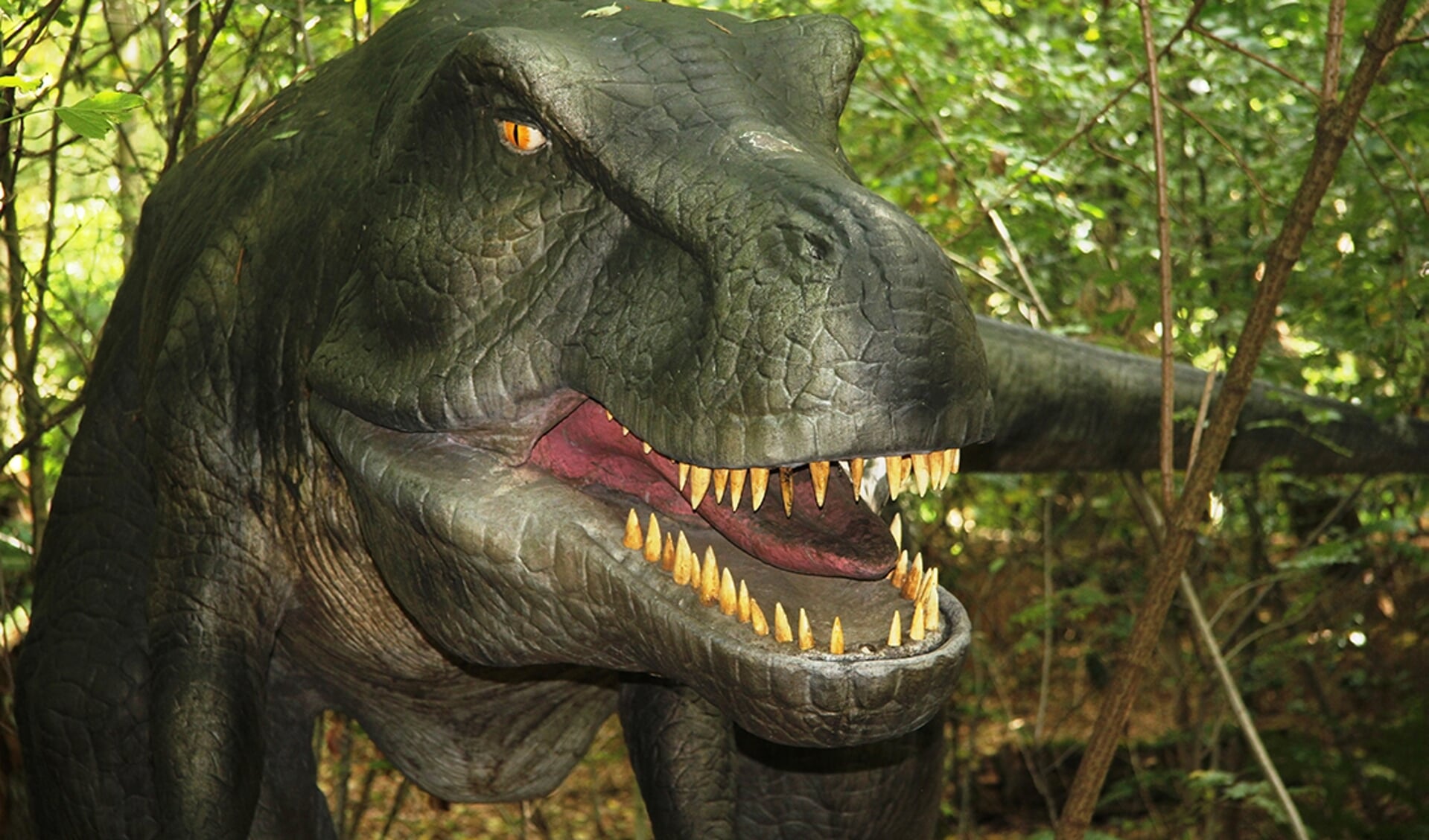 DinoAdventures T-rex 2