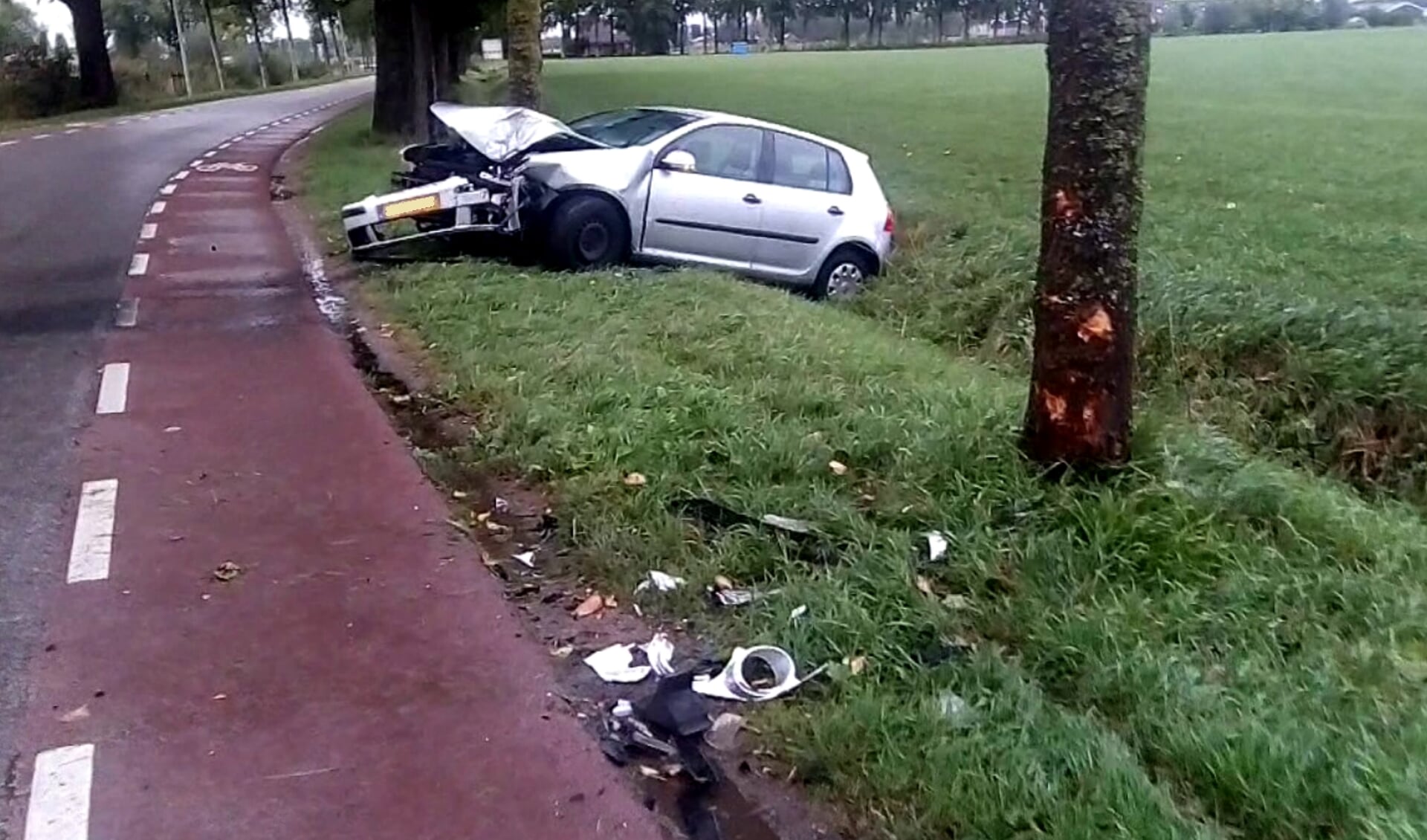 Auto met op de voorgrond de boom