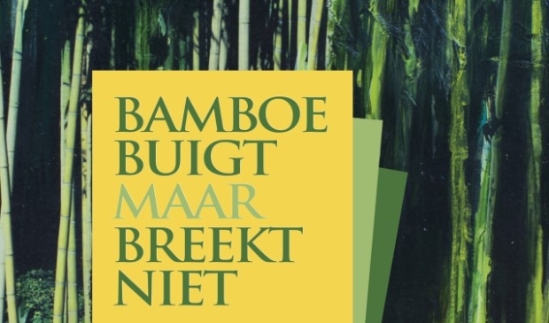 De cover van het boek