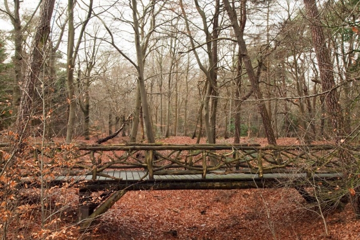 mooi wandelen in het Zeisterbos