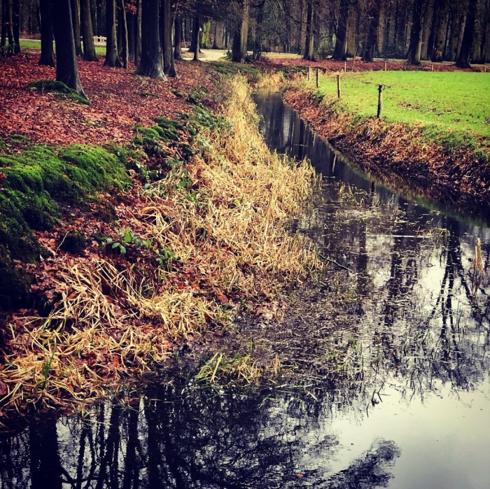 Mooie natuur