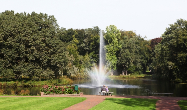 <p>Eén van de mooie plekjes in het Hoevelakense bos.</p>