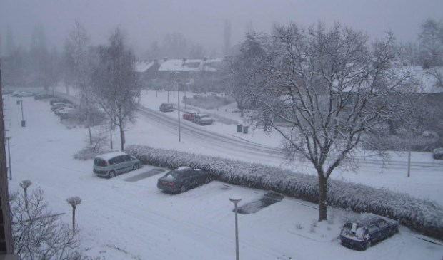 Kastanjelaan in de sneeuw
