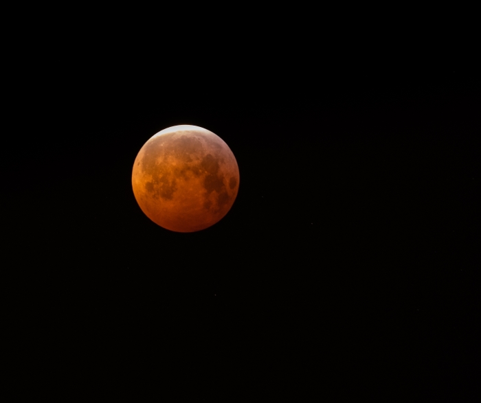 Bloedmaan