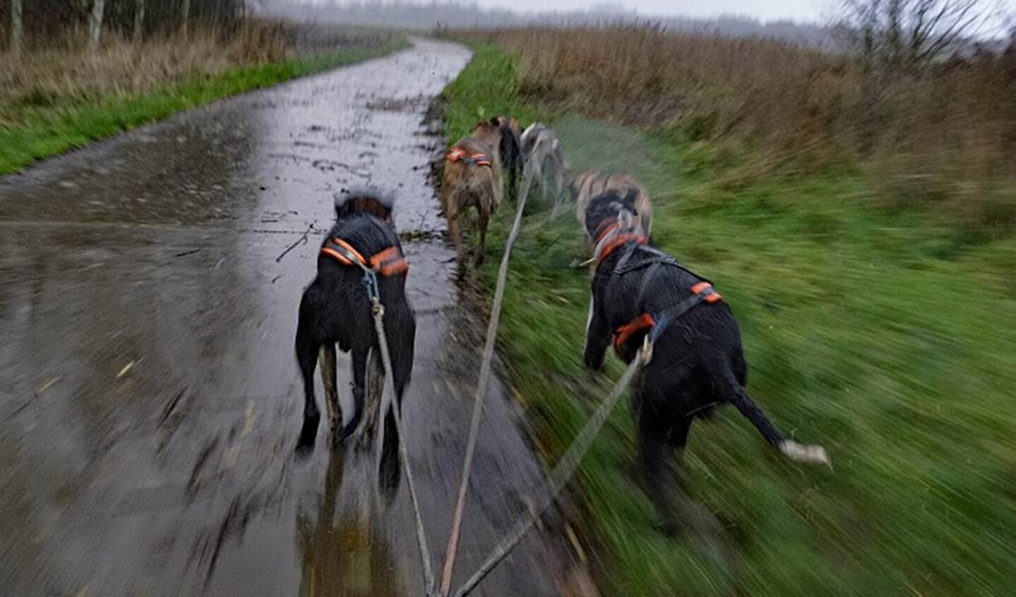 Training in de polder.