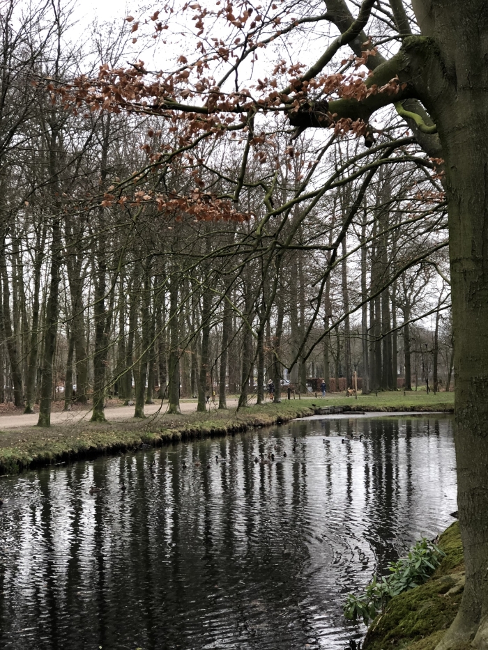 Prachtige natuur