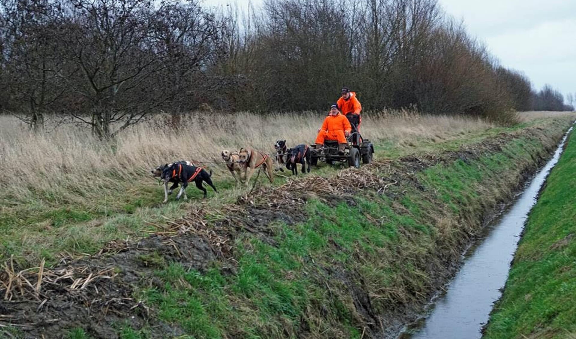 Training in de polder.
