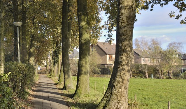 Lambalgerkeerkade: waardevol in cultuurhistorisch opzicht en vanwege de bijzondere plantengroei.