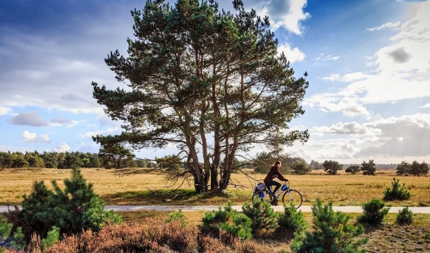 Netherlands, Otterlo, Nationaal Park Hoge Veluwe