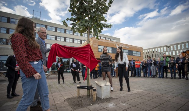 Onthulling van de nieuwe naam voor de nieuwbouw van het Nova College aan de Zijlweg in Haarlem met de nieuwe boom die voor op het plein staat.