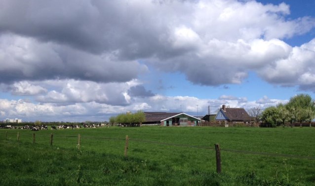 Melkveehouderij de Bie in Werkhoven