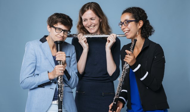 Trio Dividivi3