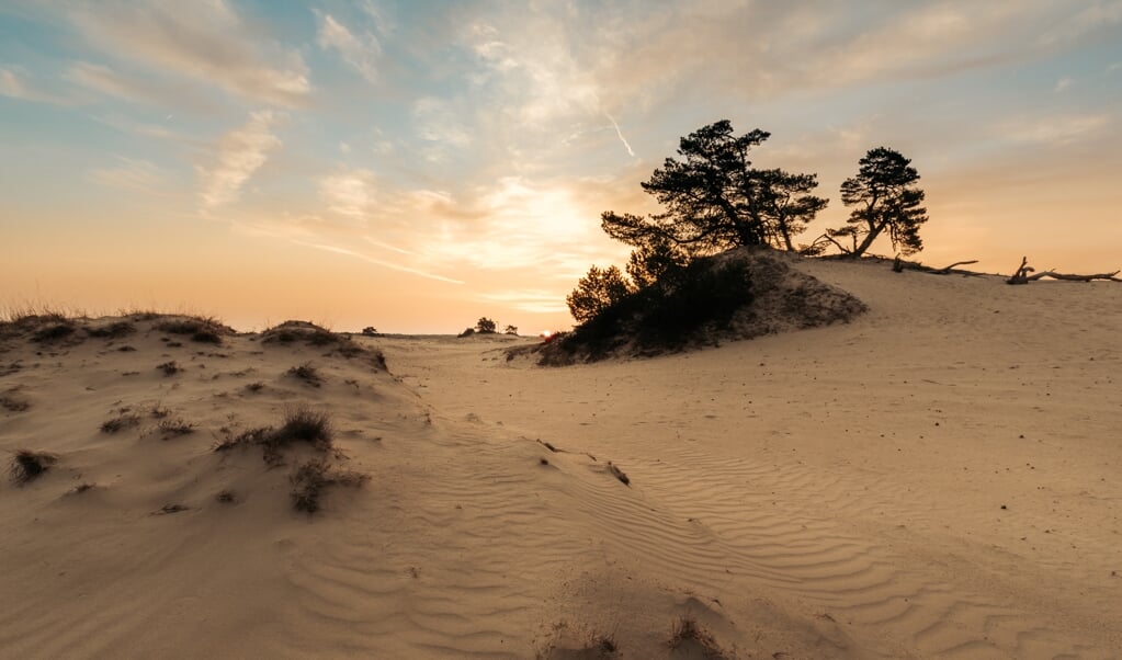 De zandverstuiving op het Kootwijkerzand.