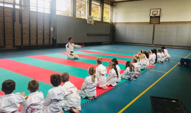 Kinderen leren een jaar lang judoën en meer.
