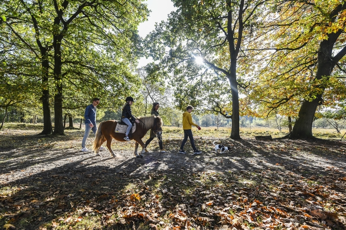 Oktober is wandelmaand op de Heuvelrug