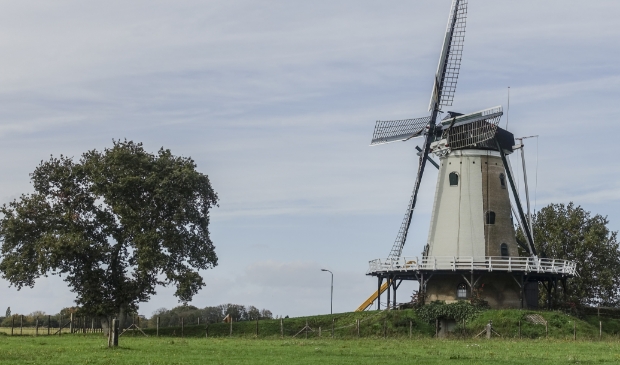 Best kans dat De Windhond op ingezonden foto's zal staan.