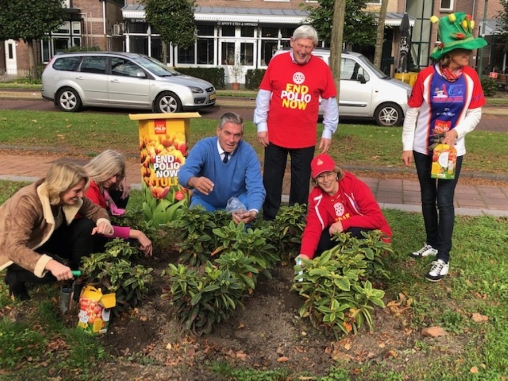 De organisatie heeft op verschillende locaties in Utrecht tulpen geplant.