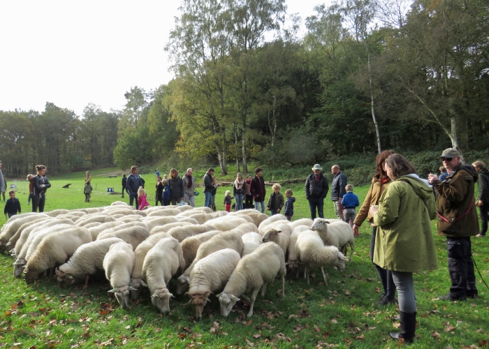 Startplaats Buiten in de Kuil