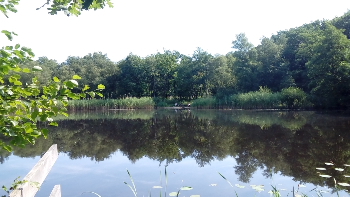 De Kreelse plas