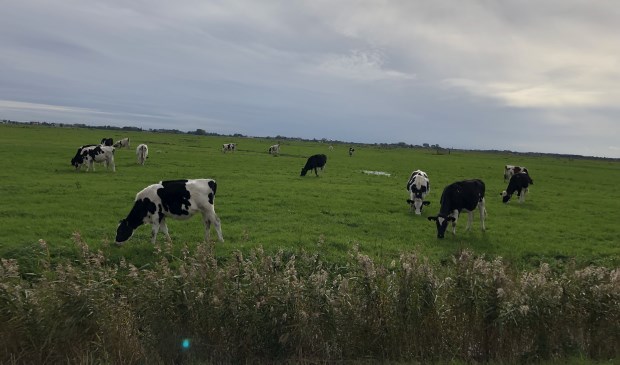 De landbouw is een belangrijke drager van het buitengebied
