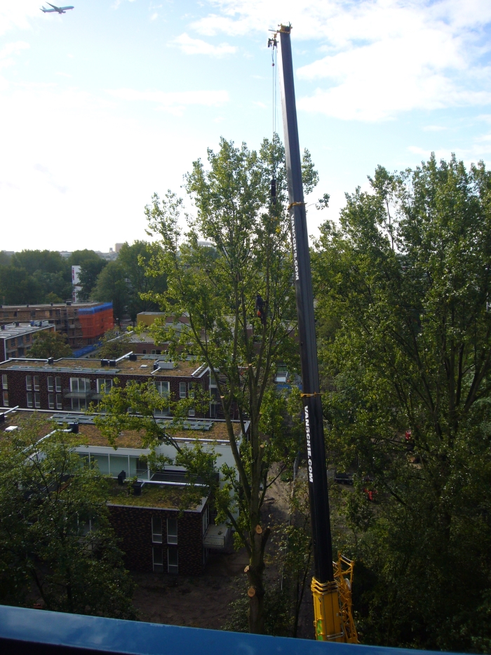 Begin van de bomenkap