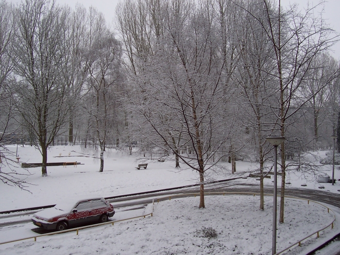 Park Zonnehof 2010