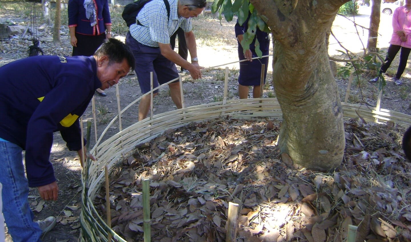 bambookorv vlechten