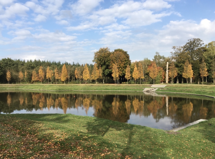 De Grote Kom in het Baarnse Bos